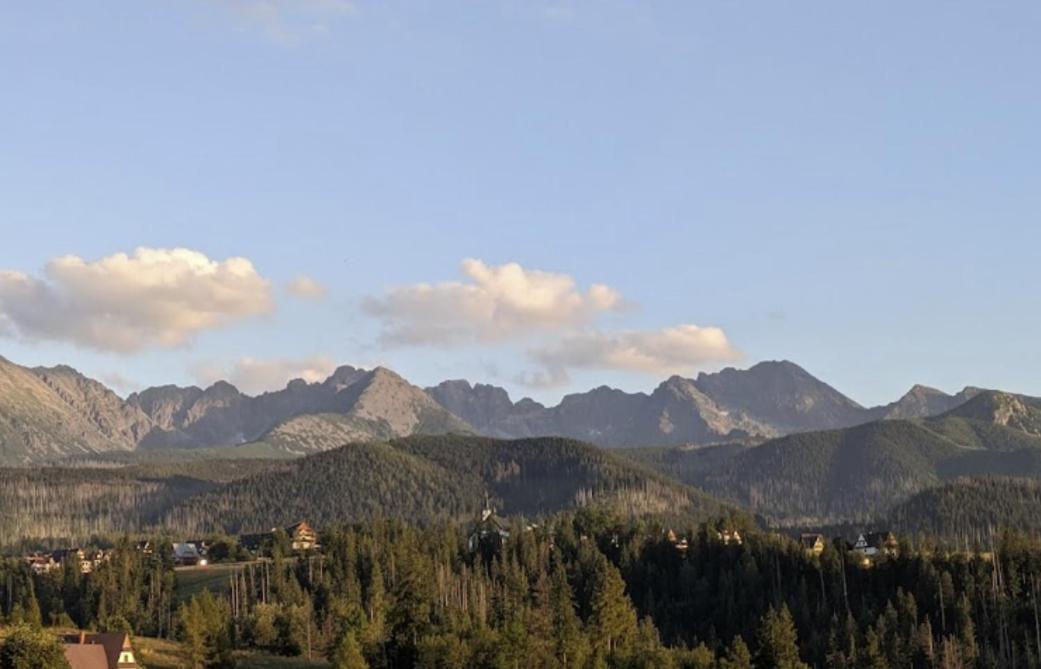 Apartament Zakopane Willa Hrube Parter Z Tarasem I Kominkiem Exterior foto